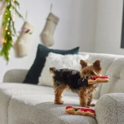 Frisco Holiday Bacon Plush Squeaky Dog Toy, 2 Count 5 Frisco Holiday Bacon Plush Squeaky Dog Toy, 2 Count -Frisco 287143 PT3. AC SS1800 V1632774888