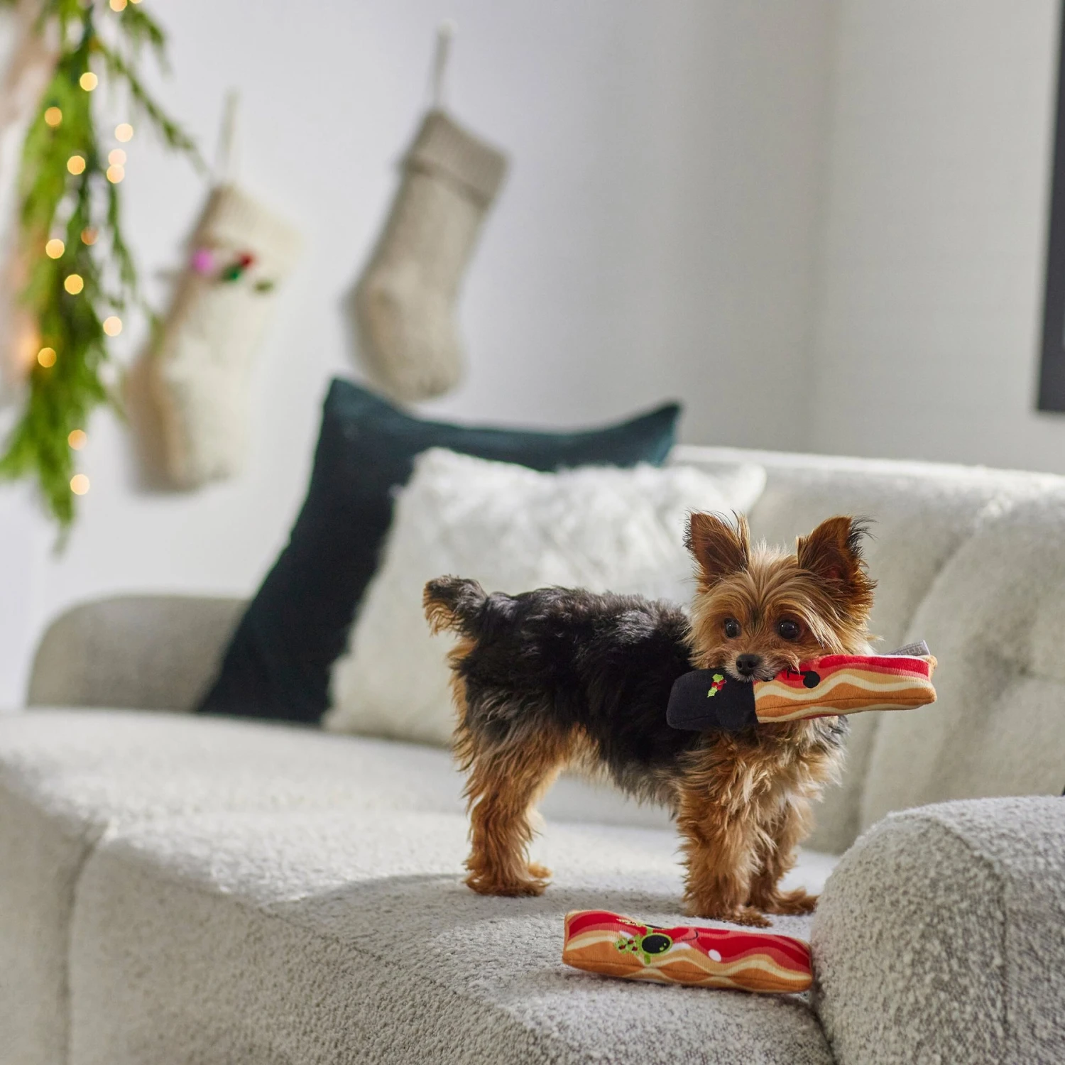 Frisco Holiday Bacon Plush Squeaky Dog Toy, 2 Count 3 Frisco Holiday Bacon Plush Squeaky Dog Toy, 2 Count - Image 3