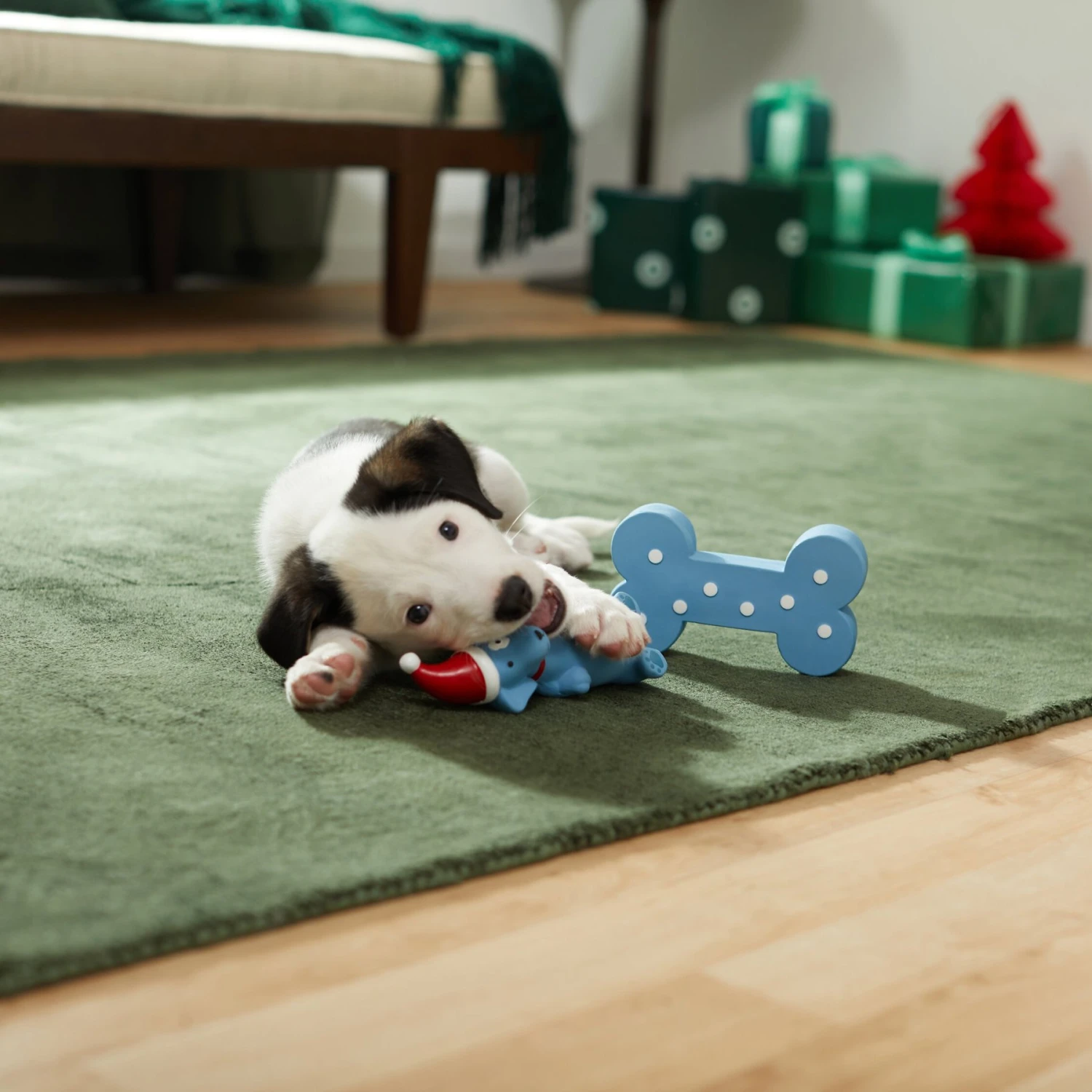 Frisco Blue Bundle Latex Squeaky Puppy Toy, 2 Count 3 Frisco Blue Bundle Latex Squeaky Puppy Toy, 2 Count - Image 3