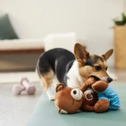 Frisco Yoga Bear Plush Squeaky Dog Toy 5 Frisco Yoga Bear Plush Squeaky Dog Toy -Frisco 288903 PT3. AC SS1800 V1638288516