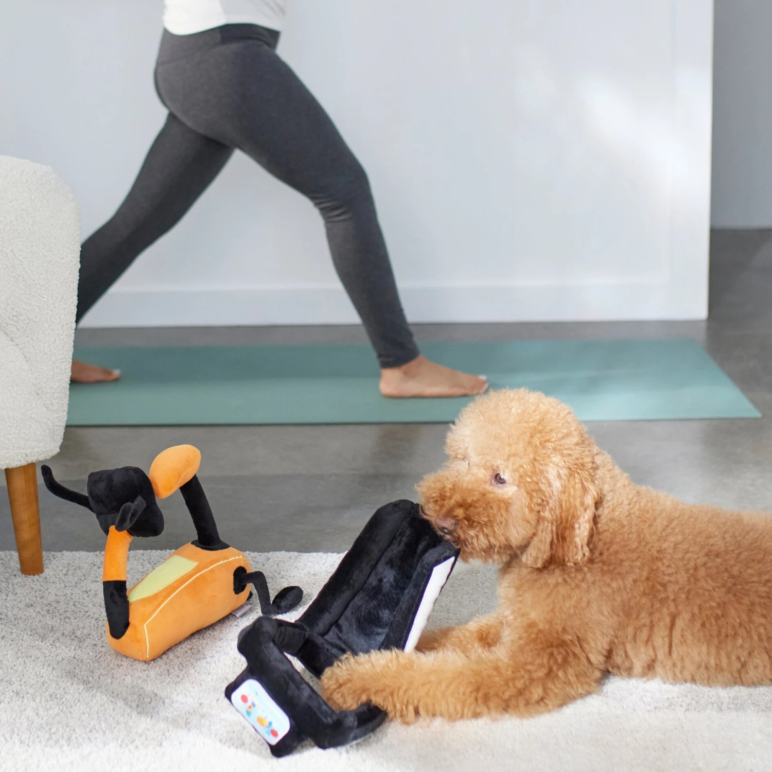 Frisco Treadmill & Bike Plush Squeaky Dog Toy, 2 Count 3 Frisco Treadmill & Bike Plush Squeaky Dog Toy, 2 Count - Image 3