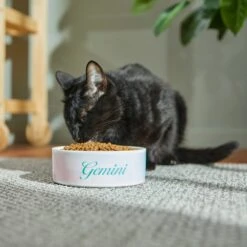 Frisco Watercolors Ceramic Personalized Dog Bowl 10 Frisco Watercolors Ceramic Personalized Dog Bowl -Frisco 296664 PT3. AC SS1800 V1625764646