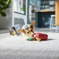 Frisco Brunch Bloody Mary Plush Squeaky Dog Toy 5 Frisco Brunch Bloody Mary Plush Squeaky Dog Toy -Frisco 297228 PT2. AC SS1800 V1642088343