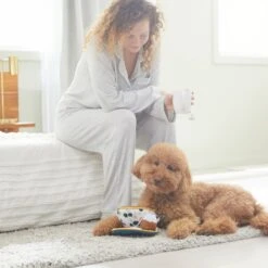 Frisco Brunch Teacup Plush Squeaky Dog Toy -Frisco 297232 PT3. AC SS1800 V1642087957