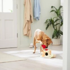 Frisco Brunch Pancake Hide & Seek Puzzle Plush Squeaky Dog Toy -Frisco 297266 PT3. AC SS1800 V1642087986