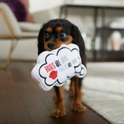 Frisco Valentine Be My Valentine Thought Bubble Reversible Plush Squeaky Dog Toy 8 Frisco Valentine Be My Valentine Thought Bubble Reversible Plush Squeaky Dog Toy -Frisco 298947 PT3. AC SS1800 V1638987445