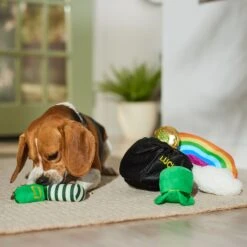 Frisco St. Patrick's Pot Of Gold Hide & Seek Puzzle Plush Squeaky Dog Toy 10 Frisco St. Patrick's Pot Of Gold Hide & Seek Puzzle Plush Squeaky Dog Toy -Frisco 303130 PT4. AC SS1800 V1700163009