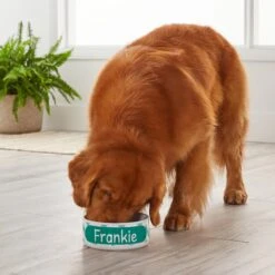 Frisco Personalized Chevron Ceramic Dog Bowl, 4.75-cup, 38oz -Frisco 306761 PT4. AC SS1800 V1639518108