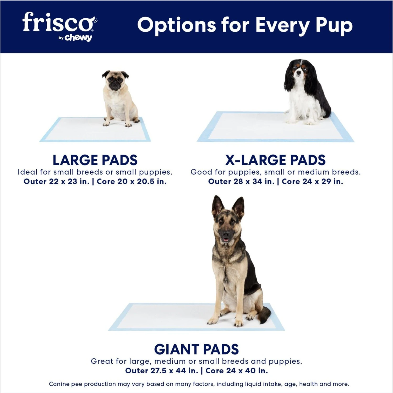 Frisco Giant Eco-Conscious Dog Training & Potty Pads 4 Frisco Giant Eco-Conscious Dog Training & Potty Pads - Image 4