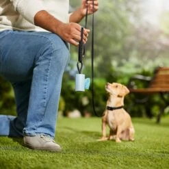 Frisco Dog Poop Bag Square Design Dispenser 12 Frisco Dog Poop Bag Square Design Dispenser -Frisco 309816 PT5. AC SS1800 V1670276147