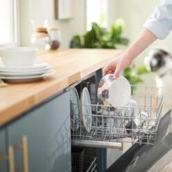 Frisco Animal Design Stainless Steel Dog & Cat Bowl 15 Frisco Animal Design Stainless Steel Dog & Cat Bowl -Frisco 311960 PT7. AC SS1800 V1642543141