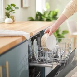 Frisco Circle Design Stainless Steel Dog & Cat Bowl 13 Frisco Circle Design Stainless Steel Dog & Cat Bowl -Frisco 311969 PT7. AC SS1800 V1642543557