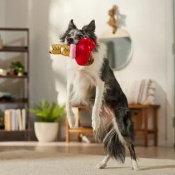 Frisco Valentine Ice Cream Plush Squeaky Dog Toy 6 Frisco Valentine Ice Cream Plush Squeaky Dog Toy -Frisco 312895 PT3. AC SS1800 V1701364917