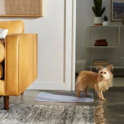 Frisco Washable Dog Potty Pads 8 Frisco Washable Dog Potty Pads -Frisco 315712 PT3. AC SS1800 V1644880410