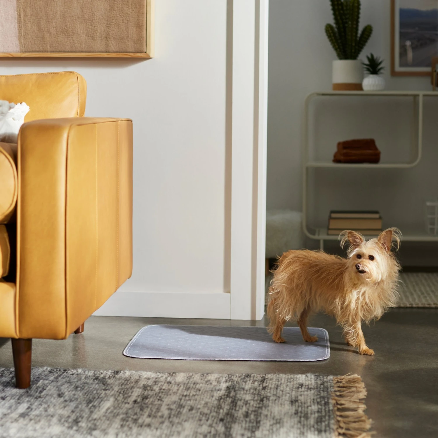 Frisco Washable Dog Potty Pads 4 Frisco Washable Dog Potty Pads - Image 4