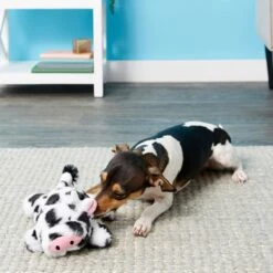 Frisco Cow Plush Squeaky Dog Toy & Playology Scented Dual Layer Ring Dog Toy 12 Frisco Cow Plush Squeaky Dog Toy & Playology Scented Dual Layer Ring Dog Toy -Frisco 319488 PT3. AC SS1800 V1630626696
