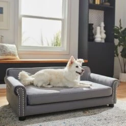 Frisco Sofa Pet Bed With Removable Cover & Frisco Eyelash Cat & Dog Blanket 13 Frisco Sofa Pet Bed With Removable Cover & Frisco Eyelash Cat & Dog Blanket -Frisco 319504 PT4. AC SS1800 V1630625195