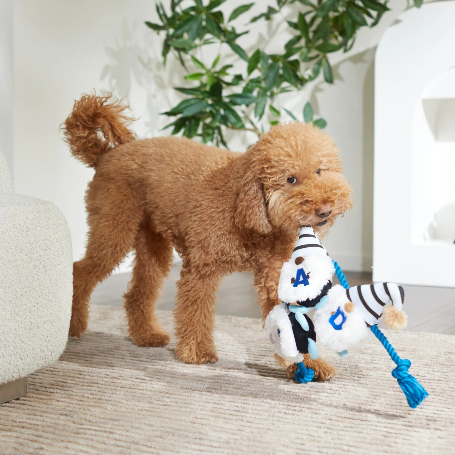 Frisco Dad Gnome Plush With Rope Dog Toy 3 Frisco Dad Gnome Plush With Rope Dog Toy - Image 3