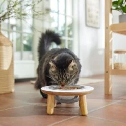 Frisco Premium Round Shape Elevated Single Dog & Cat Bowl 9 Frisco Premium Round Shape Elevated Single Dog & Cat Bowl -Frisco 331502 PT3. AC SS1800 V1657656892