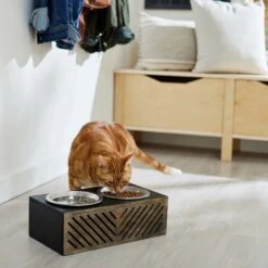 Frisco Premium Wood Elevated Stainless Steel Double Diner Dog & Cat Bowl, Black, 3 Cup 9 Frisco Premium Wood Elevated Stainless Steel Double Diner Dog & Cat Bowl, Black, 3 Cup -Frisco 331509 PT3. AC SS1800 V1657656894