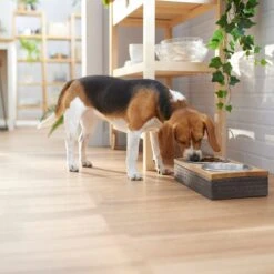 Frisco Premium Stainless Steel Double Diner Dog & Cat Bowl, Black 9 Frisco Premium Stainless Steel Double Diner Dog & Cat Bowl, Black -Frisco 331532 PT2. AC SS1800 V1657656874