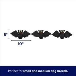 Frisco Halloween Haunted House Hide & Seek Puzzle Plush Squeaky Dog Toy 8 Frisco Halloween Haunted House Hide & Seek Puzzle Plush Squeaky Dog Toy -Frisco 344136 PT2. AC SS1800 V1690911191