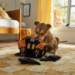 Frisco Halloween Haunted House Hide & Seek Puzzle Plush Squeaky Dog Toy 9 Frisco Halloween Haunted House Hide & Seek Puzzle Plush Squeaky Dog Toy -Frisco 344136 PT3. AC SS1800 V1657657042