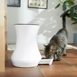 Frisco Automatic Cat & Dog Feeder, White, 13.5 Cup 14 Frisco Automatic Cat & Dog Feeder, White, 13.5 Cup -Frisco 345285 PT6. AC SS1800 V1658219294