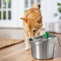 Frisco Stainless Steel Cactus & Leaf Dog & Cat Fountain 12 Frisco Stainless Steel Cactus & Leaf Dog & Cat Fountain -Frisco 355814 PT5. AC SS1800 V1665683869