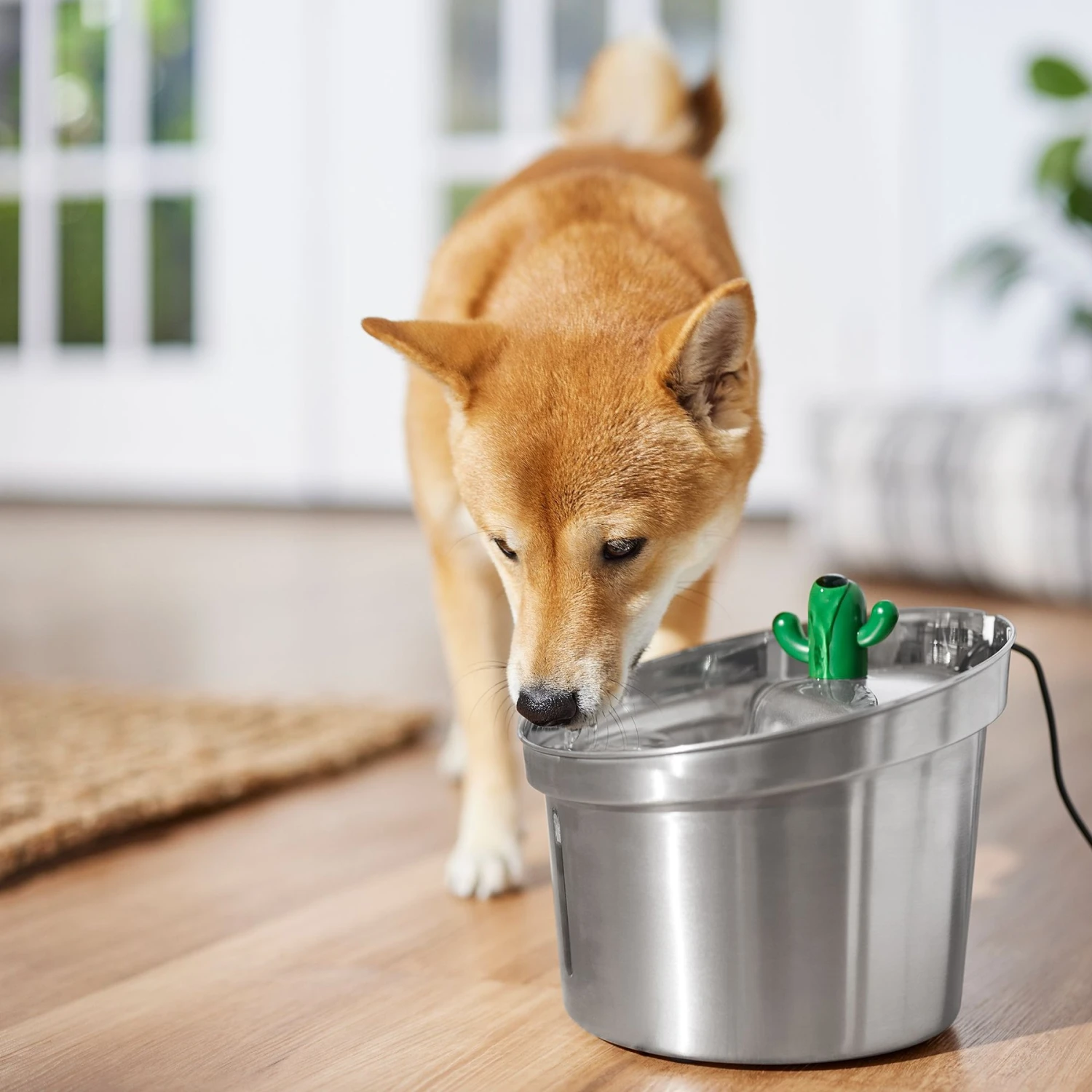 Frisco Stainless Steel Cactus & Leaf Dog & Cat Fountain 6 Frisco Stainless Steel Cactus & Leaf Dog & Cat Fountain - Image 6