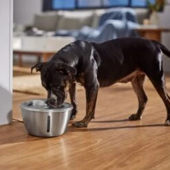 Frisco Stainless Steel Heart Dog & Cat Fountain 12 Frisco Stainless Steel Heart Dog & Cat Fountain -Frisco 355816 PT5. AC SS1800 V1665684540