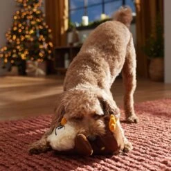 Frisco Holiday Festive Owl Plush Squeaky Dog Toy 6 Frisco Holiday Festive Owl Plush Squeaky Dog Toy -Frisco 360919 PT3. AC SS1800 V1661874361