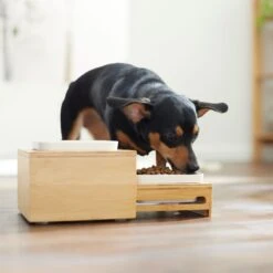 Frisco Elevated Non-Skid Bamboo Melamine Bowl Double Diner With Bamboo Stand 7 Frisco Elevated Non-Skid Bamboo Melamine Bowl Double Diner With Bamboo Stand -Frisco 363385 PT5. AC SS1800 V1657657267