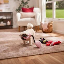 Frisco Valentine Rope, TPR & Plush Variety Pack Dog Toy 6 Frisco Valentine Rope, TPR & Plush Variety Pack Dog Toy -Frisco 371077 PT3. AC SS1800 V1668737456