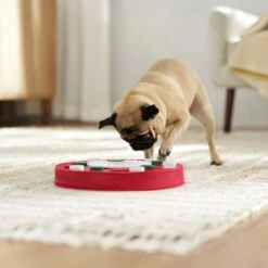 Frisco Bento Interactive Puzzle Dog Toy, Moderate 12 Frisco Bento Interactive Puzzle Dog Toy, Moderate -Frisco 506226 PT5. AC SS1800 V1674664929