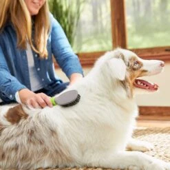 TropiClean Luxury 2 In 1 Papaya & Coconut Pet Shampoo & Conditioner & Frisco Cat & Dog Bristle Brush 15 TropiClean Luxury 2 In 1 Papaya & Coconut Pet Shampoo & Conditioner & Frisco Cat & Dog Bristle Brush -Frisco 575094 PT7. AC SS1800 V1657660395