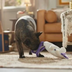 Frisco Halloween Bunny Ghost Plush Squeaky Dog Toy 8 Frisco Halloween Bunny Ghost Plush Squeaky Dog Toy -Frisco 667878 PT3. AC SS1800 V1689340856