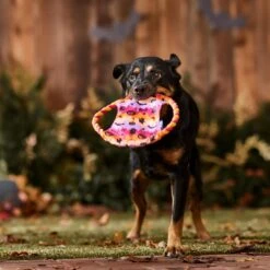 Frisco Halloween Ghost Swirl Fetch Flyer Dog Toy -Frisco 668294 PT3. AC SS1800 V1689278363