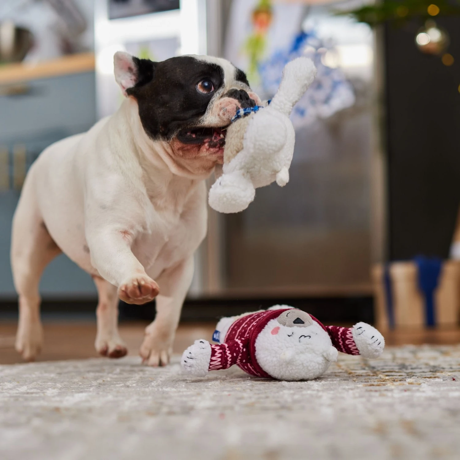 Frisco Holiday Polar Bear Friends Plush Squeaky Dog Toy 3 Frisco Holiday Polar Bear Friends Plush Squeaky Dog Toy - Image 3