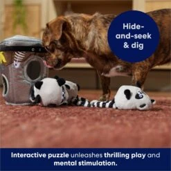 Frisco Volcano Hide & Seek Puzzle Plush Squeaky Dog Toy & Frisco Trash Can & Raccoons Hide & Seek Puzzle Plush Squeaky Dog Toy 17 Frisco Volcano Hide & Seek Puzzle Plush Squeaky Dog Toy & Frisco Trash Can & Raccoons Hide & Seek Puzzle Plush Squeaky Dog Toy -Frisco 962054 PT8. AC SS1800 V1694783037