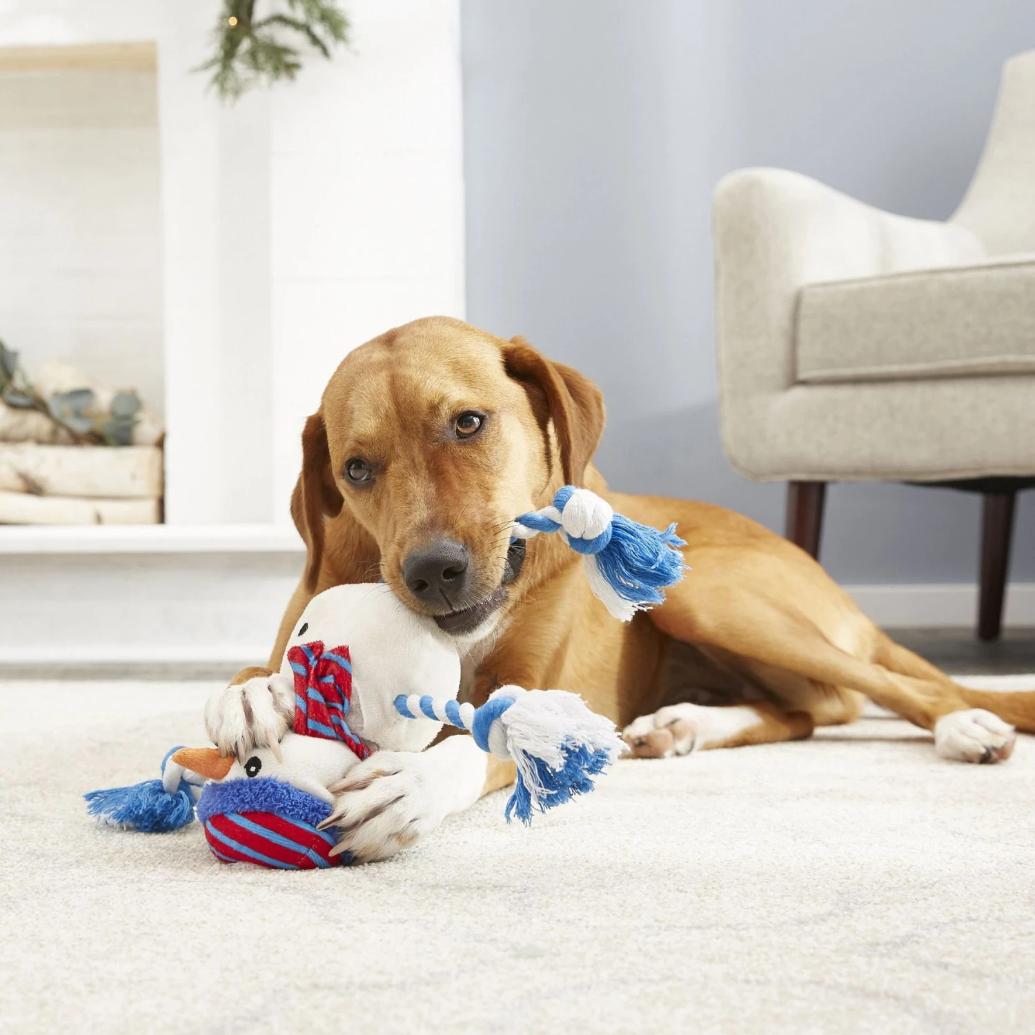 Frisco Holiday Snowman Plush With Rope Squeaky Dog Toy & Frisco Holiday Reindeer Plush With Rope Squeaky Dog Toy 5 Frisco Holiday Snowman Plush With Rope Squeaky Dog Toy & Frisco Holiday Reindeer Plush With Rope Squeaky Dog Toy - Image 5